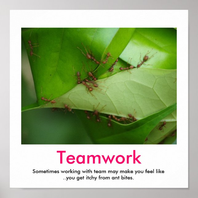 TEAMWORK-poster Poster (Framsidan)