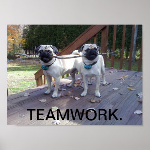 Teamworkaffisch! Mopsarbete tillsammans! Poster