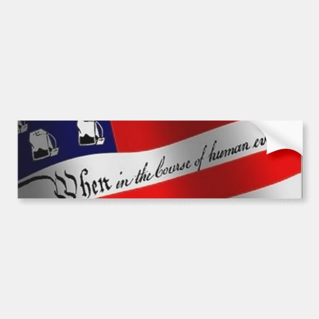 Teaparty April 15, 2009 Bildekal (Framsidan)