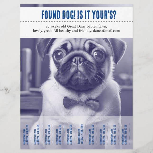 Tear Off hittade försäljningsflygare Reklamblad (Framsidan)