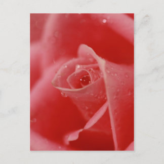 Teardroppe i hennes öga vykort