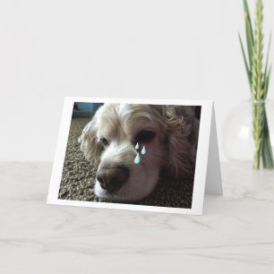 TEARY EYED COCKER SPANIEL SÄGER: "JAG MISS DIG" KORT