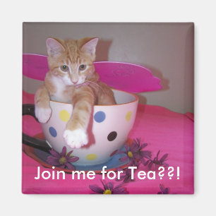 Teatid Magnet