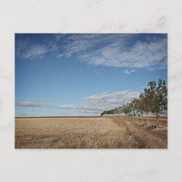 techfias del Camino de santiago Vykort