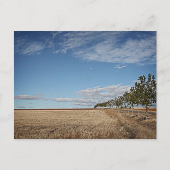 techfias del Camino de santiago Vykort (Framsida)