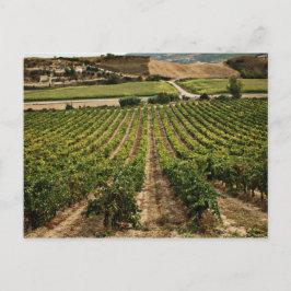 techfias del Camino de santiago Vykort