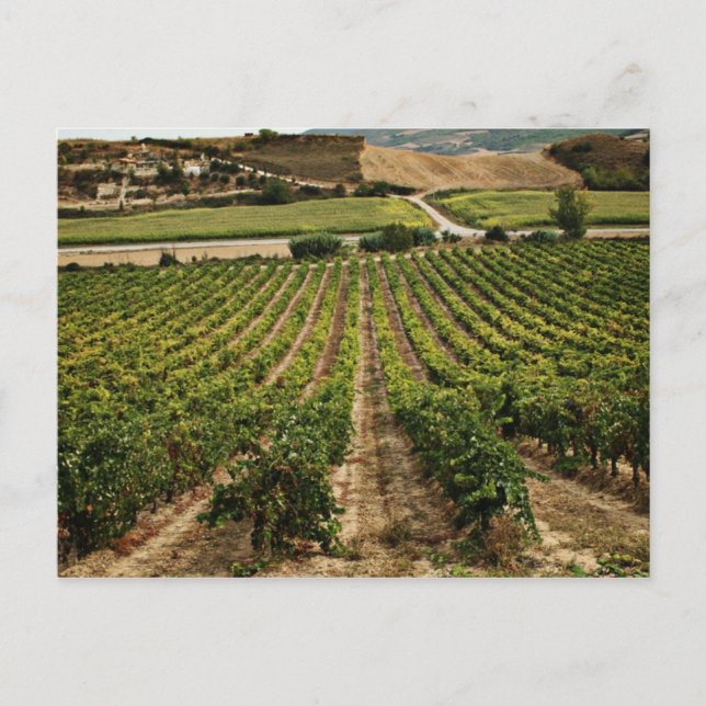 techfias del Camino de santiago Vykort (Framsida)