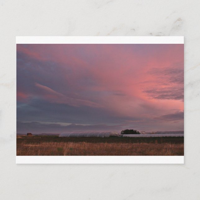 techfias del Camino de santiago Vykort (Framsida)