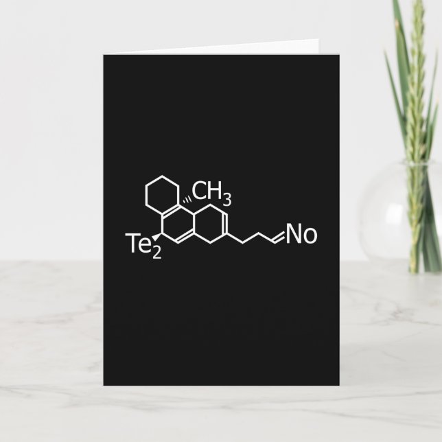 Techno Music DJ Rave Electro Festival Gift Idea Kort (Framsida)