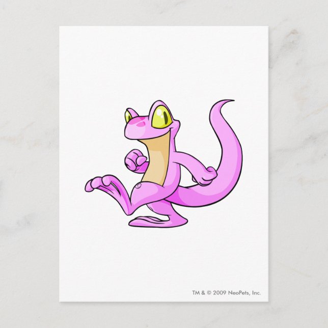 Techo Rosa Vykort (Framsida)