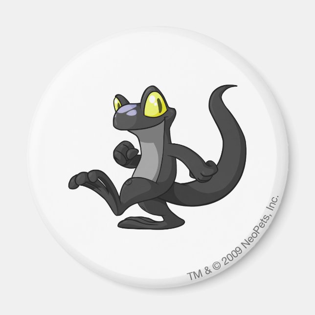 Techo Shadow Magnet (Framsidan)