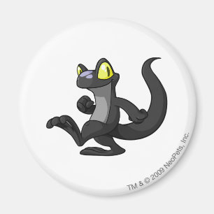 Techo skuggar magnet