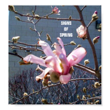 TECKEN PÅ POSTER VÅR