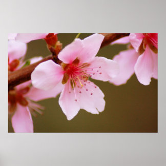 tecken på utskrift från vår poster