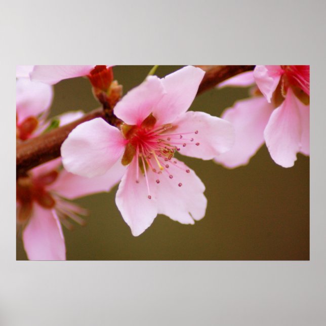 tecken på utskrift från vår poster (Framsidan)