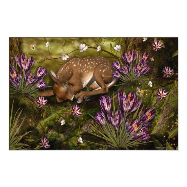 Tecken på Vår Fototryck (Framsidan)