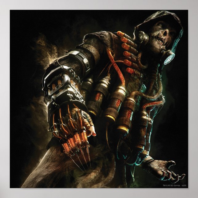 Teckenkonst för fågelskrämma poster (Framsidan)