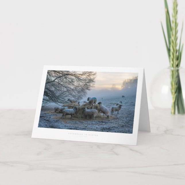 Teckensnitt i vinter kort (Framsida)