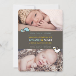 Tecknad Anka Pojke Twillingars Birth Notice Meddelande