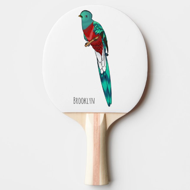Tecknad av den relevanta quetzala fågelfågeln pingisracket (Framsidan)