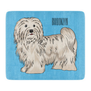 Tecknad av Havanese hund