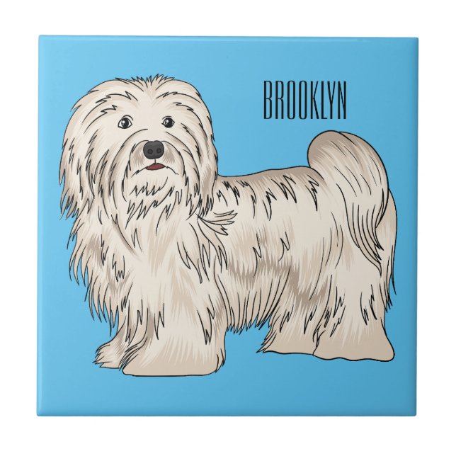Tecknad av Havanese hund Kakelplatta (Framsidan)