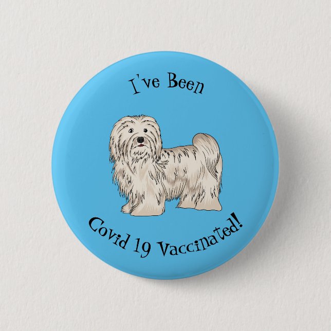 Tecknad av Havanese hund Knapp (Framsida)