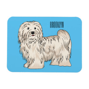Tecknad av Havanese hund Magnet