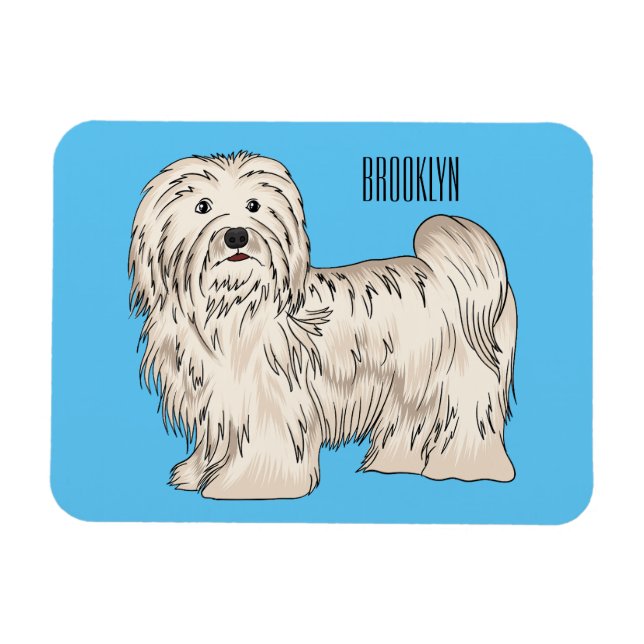 Tecknad av Havanese hund Magnet (Horisontell)