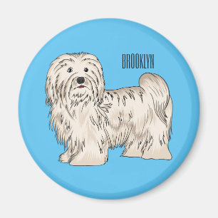 Tecknad av Havanese hund Magnet
