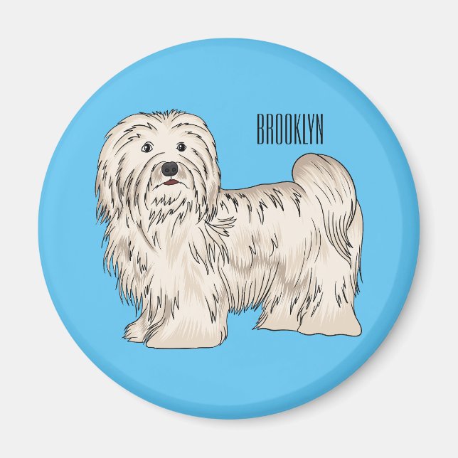 Tecknad av Havanese hund Magnet (Framsidan)