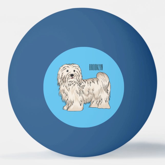 Tecknad av Havanese hund Pingisboll (Framsidan)