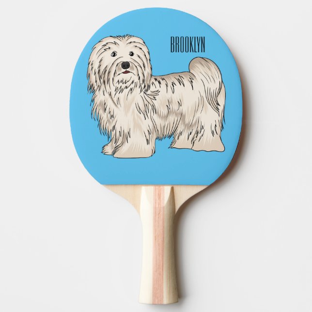 Tecknad av Havanese hund Pingisracket (Framsidan)