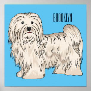 Tecknad av Havanese hund Poster