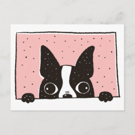 Tecknad Boston Terrier på Windows Postcard Vykort