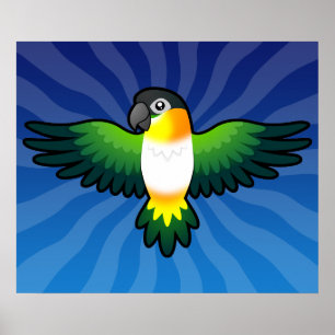 Tecknad Caique / Lovebird / Pionus / Parrot Poster