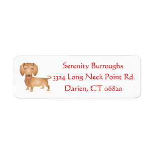 Tecknad Dachshund Brown Puppy Hund Personlig Returadress Etikett