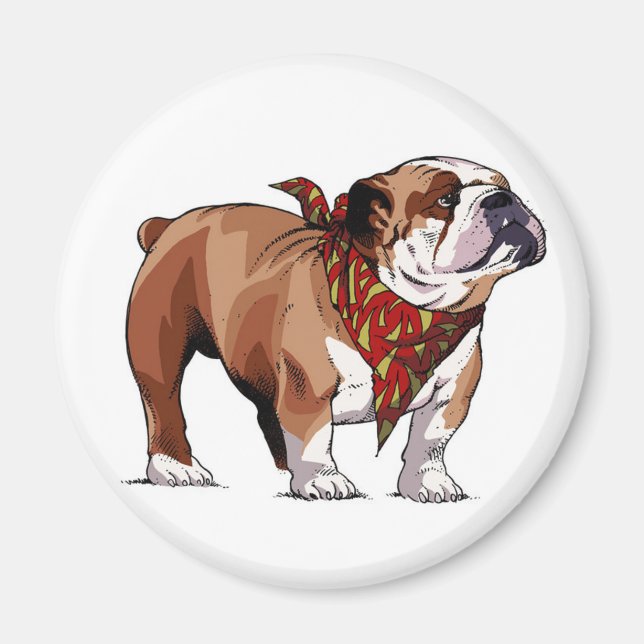 Tecknad English Bulldog Puppy Hund Magnet (Framsidan)