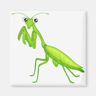Tecknad Grönt Praying Mantis Magnets Magnet