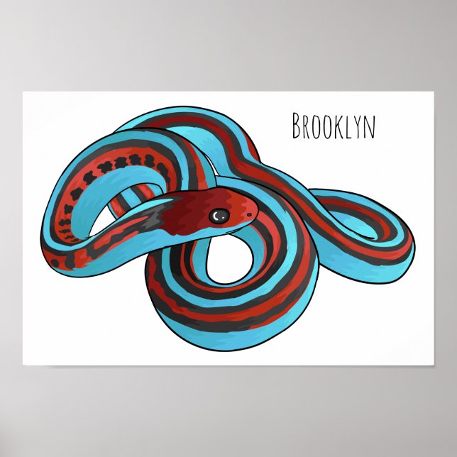 Tecknad illustration av San Francisco-strumpebands Poster (Framsidan)