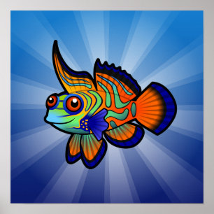 Tecknad Mandarin/Dragonet Fish Poster