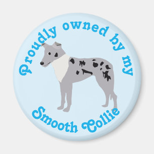 Tecknad Smooth Collie Merle Magnet