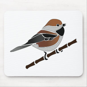 Tecknaden Adsible Boreal Chickadee Bird Musmatta