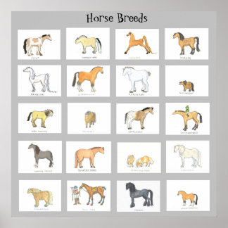 Tecknaden Horse Reds Poster