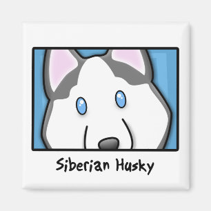 Tecknaden kvadrerar siberian husky magnet