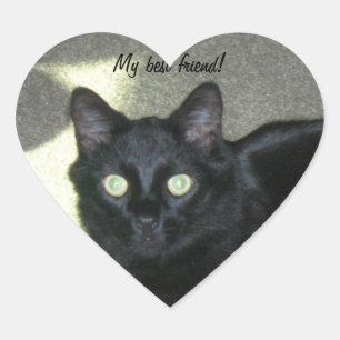 Tecknare (hrt) - Min bästa vän Hjärtformat Klistermärke