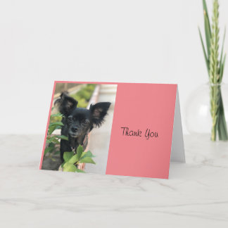 Tecknare Sitter LV LAGUNA Kort