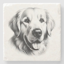 Teckning av Golden Retriever