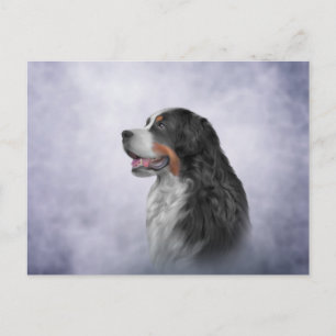 Teckning Bernese Mountain Hund Vykort