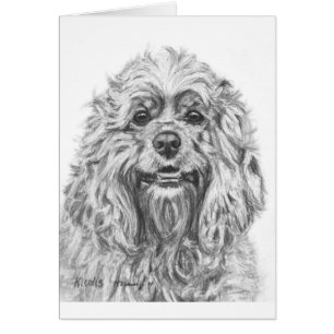 Teckning för cockerspanielSpanielkol Hälsningskort